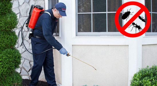 Odunpazarı Kemirgen İlaçlama böcek ilaçlama ve haşere kontrolü — ilaclama-tr.com